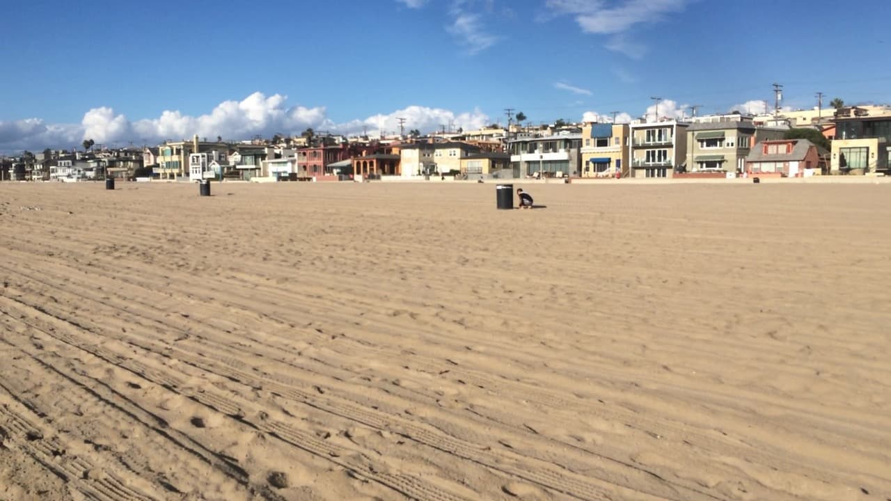 Hermosa Beach real estate - aerial coastal photo